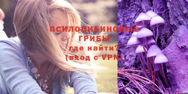 2c-b Белоозёрский