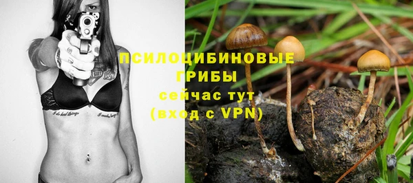каннабис Белокуриха